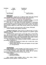 Referāts 'Uzņēmuma ekonomika', 21.