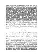 Referāts 'Leonardo da Vinči dzīve un daiļrade', 5.