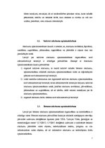 Referāts 'Atkritumu apsaimniekošana', 7.