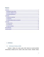 Referāts 'Attieksme un attiecības sociālajā vidē', 2.