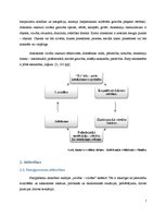 Referāts 'Attieksme un attiecības sociālajā vidē', 7.