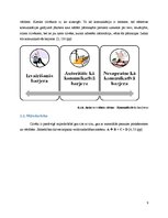 Referāts 'Attieksme un attiecības sociālajā vidē', 9.