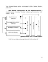Referāts 'Attieksme un attiecības sociālajā vidē', 12.
