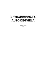 Referāts 'Netradicionālā auto degviela', 1.