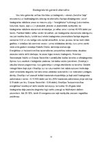 Referāts 'Netradicionālā auto degviela', 10.