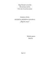 Referāts 'Pagrabu sienas', 1.