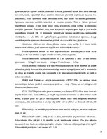 Referāts 'Pagrabu sienas', 19.