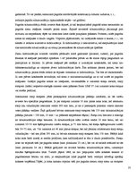 Referāts 'Pagrabu sienas', 23.