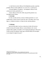 Referāts 'Civilā aizsardzība', 16.