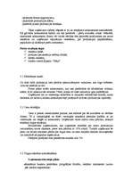 Biznesa plāns 'SIA "Deka"', 6.