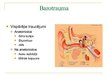 Prezentācija 'Barotrauma', 6.