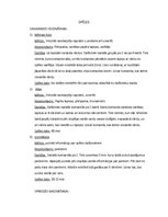 Paraugs 'Psiholoģija, spēles', 1.