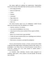 Diplomdarbs 'Tālākizglītības iestādes izveide Bauskas rajonā', 17.