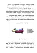 Diplomdarbs 'Tālākizglītības iestādes izveide Bauskas rajonā', 18.