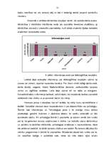 Diplomdarbs 'Tālākizglītības iestādes izveide Bauskas rajonā', 21.
