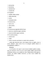 Diplomdarbs 'Tālākizglītības iestādes izveide Bauskas rajonā', 33.