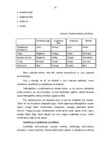 Diplomdarbs 'Tālākizglītības iestādes izveide Bauskas rajonā', 42.