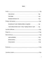 Referāts 'Uzraudzības trūkums sodu izcietušām personām pēc dzimumnoziegumu izdarīšanas', 2.