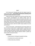 Referāts 'Uzraudzības trūkums sodu izcietušām personām pēc dzimumnoziegumu izdarīšanas', 3.