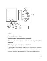 Referāts 'Uzraudzības trūkums sodu izcietušām personām pēc dzimumnoziegumu izdarīšanas', 11.