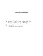 Referāts 'Skaņa, skaņas izolācija', 12.