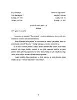 Paraugs 'Pārvaldes dokumentu piemēri', 3.