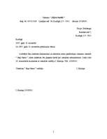 Paraugs 'Pārvaldes dokumentu piemēri', 5.