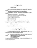 Biznesa plāns 'Biznesa plāns pamatskolā', 4.