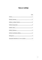 Referāts 'Kultūra', 2.