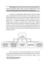 Referāts 'Kultūra', 6.