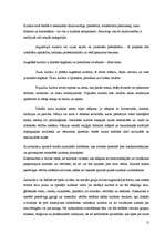 Referāts 'Kultūra', 12.