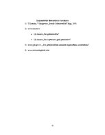 Referāts 'Grāmatvedības uzskaites principi', 11.