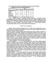 Referāts 'Viduslaiki', 5.