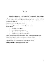 Referāts 'Audums un tā daudzveidība', 3.