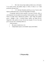 Referāts 'Audums un tā daudzveidība', 9.