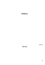 Referāts 'Audums un tā daudzveidība', 16.