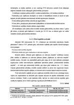 Referāts 'Vienkāršā un divkāršā ieraksta grāmatvedība', 16.