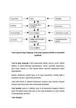 Konspekts 'Cenu veidošana', 2.