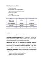 Konspekts 'Cenu veidošana', 6.