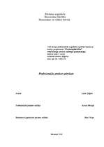 Prakses atskaite 'Profesionālās prakses pārskats tirdzniecības uzņēmumā', 1.