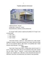 Prakses atskaite 'Profesionālās prakses pārskats tirdzniecības uzņēmumā', 4.