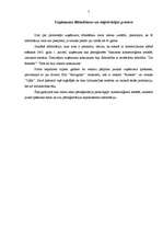 Prakses atskaite 'Profesionālās prakses pārskats tirdzniecības uzņēmumā', 7.