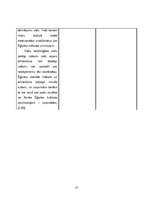 Konspekts 'Mezopotāmijas un Ēģiptes salīdzinājums', 10.