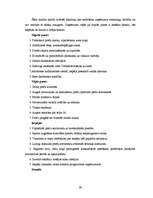 Diplomdarbs 'SIA "Glasmir Latvija" veikala "Cenu paradīze" Siguldā saimnieciskās darbības ana', 28.