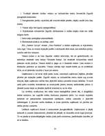 Diplomdarbs 'SIA "Glasmir Latvija" veikala "Cenu paradīze" Siguldā saimnieciskās darbības ana', 29.