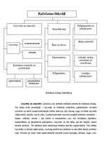 Prezentācija 'Produktu klasifikācija', 3.