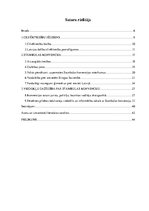 Referāts 'Stambulas konvencija Latvijas sabiedriskajā telpā', 5.