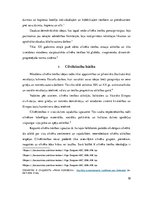 Referāts 'Stambulas konvencija Latvijas sabiedriskajā telpā', 10.