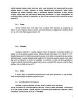 Referāts 'Saimniecības augšņu izpēte un analīze', 7.