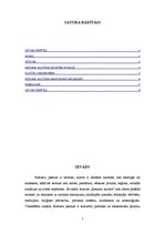 Referāts 'Rietumu kultūra mūsdienās', 2.